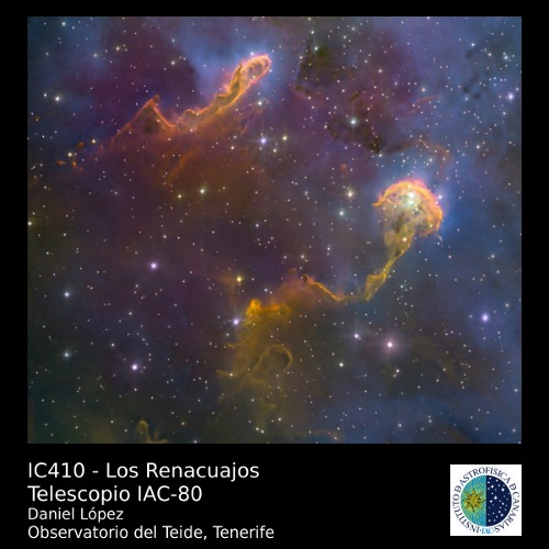 IC410 - Los Renacuajos
