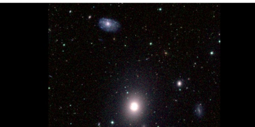 J-PLUS reveals how galaxy mass shapes star formation in the local Universe